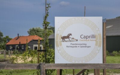 Nieuwe website