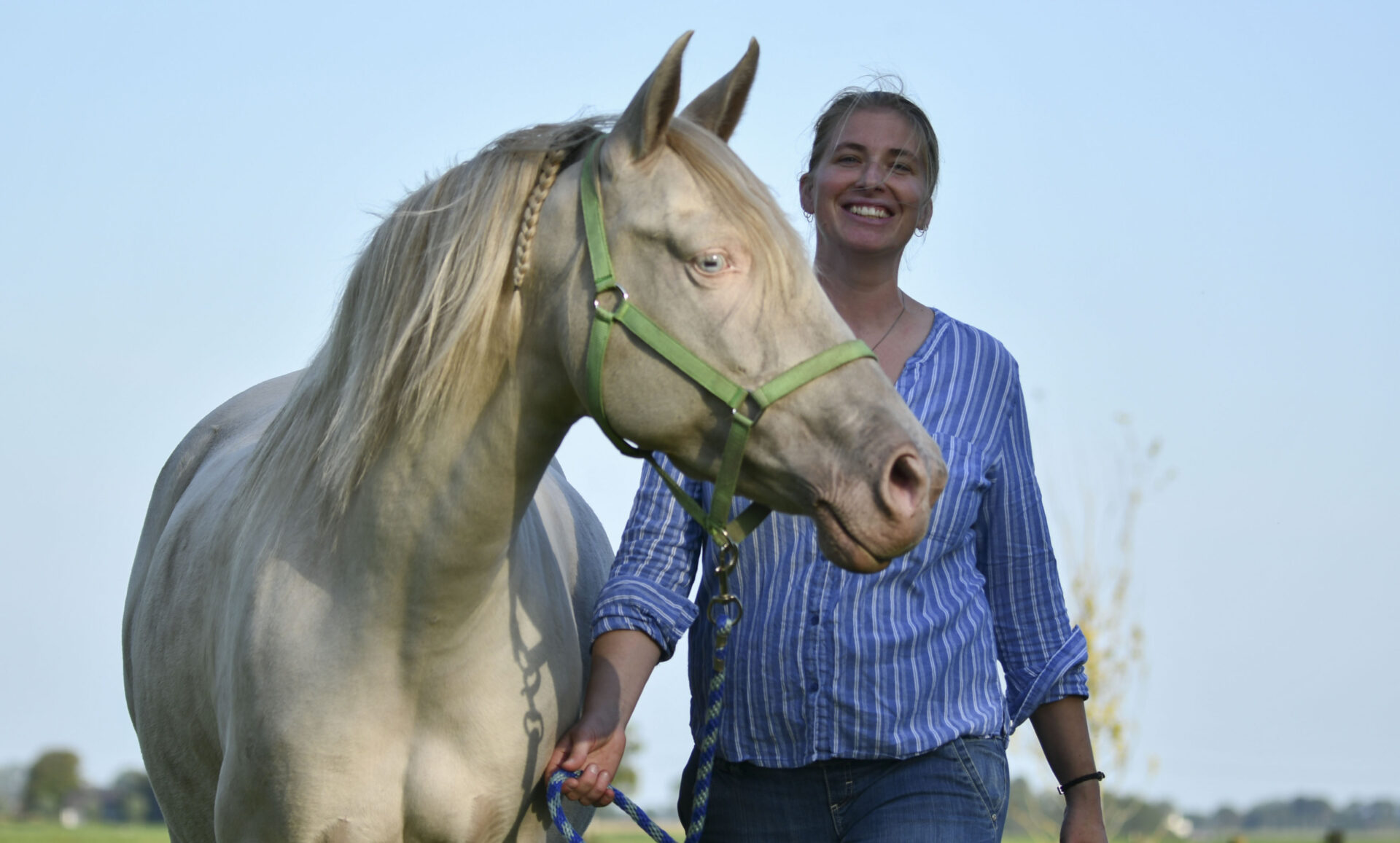keurmerk-nrto Linda Groenewegen - paardencoach Imala Paardencoaching