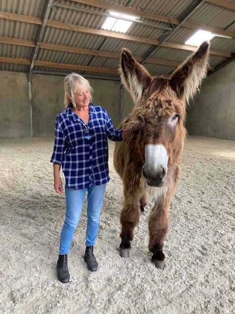 keurmerk-nrto Marjolein van oosterhout - paardencoach