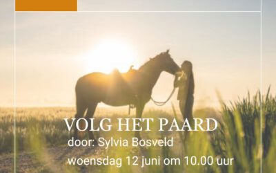 Webinar ‘Volg het paard’