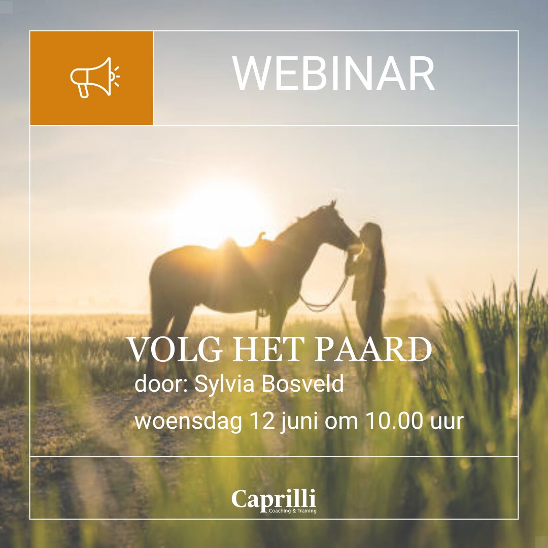 Webinar Volg het Paard