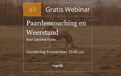 Opleiding Paardencoaching en weerstand
