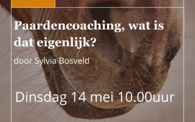 Webinar ‘Paardencoaching, wat is dat eigenlijk?’