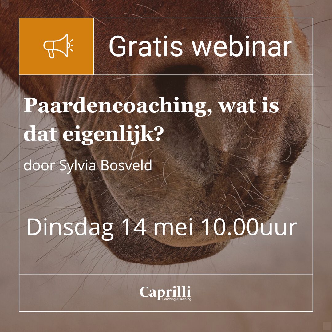 Paardencoaching, wat is dat eigenlijk?
