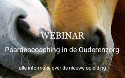 Webinar ‘Paardencoaching in de ouderenzorg’