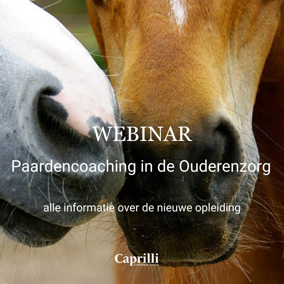 Paardencoaching in de ouderenzorg